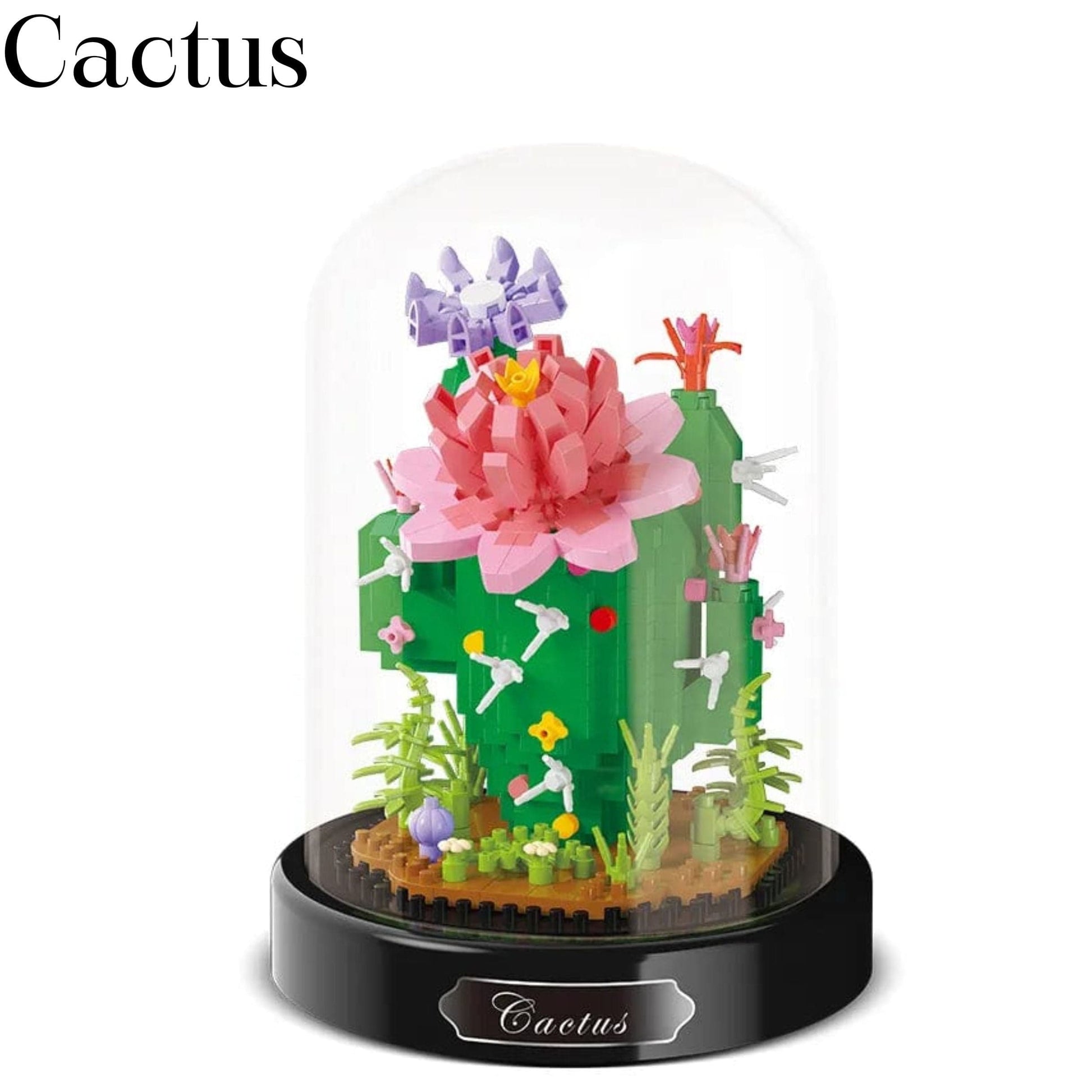 Cactus 3D Pièces d'Exceptions Nature | Cactus Scellé