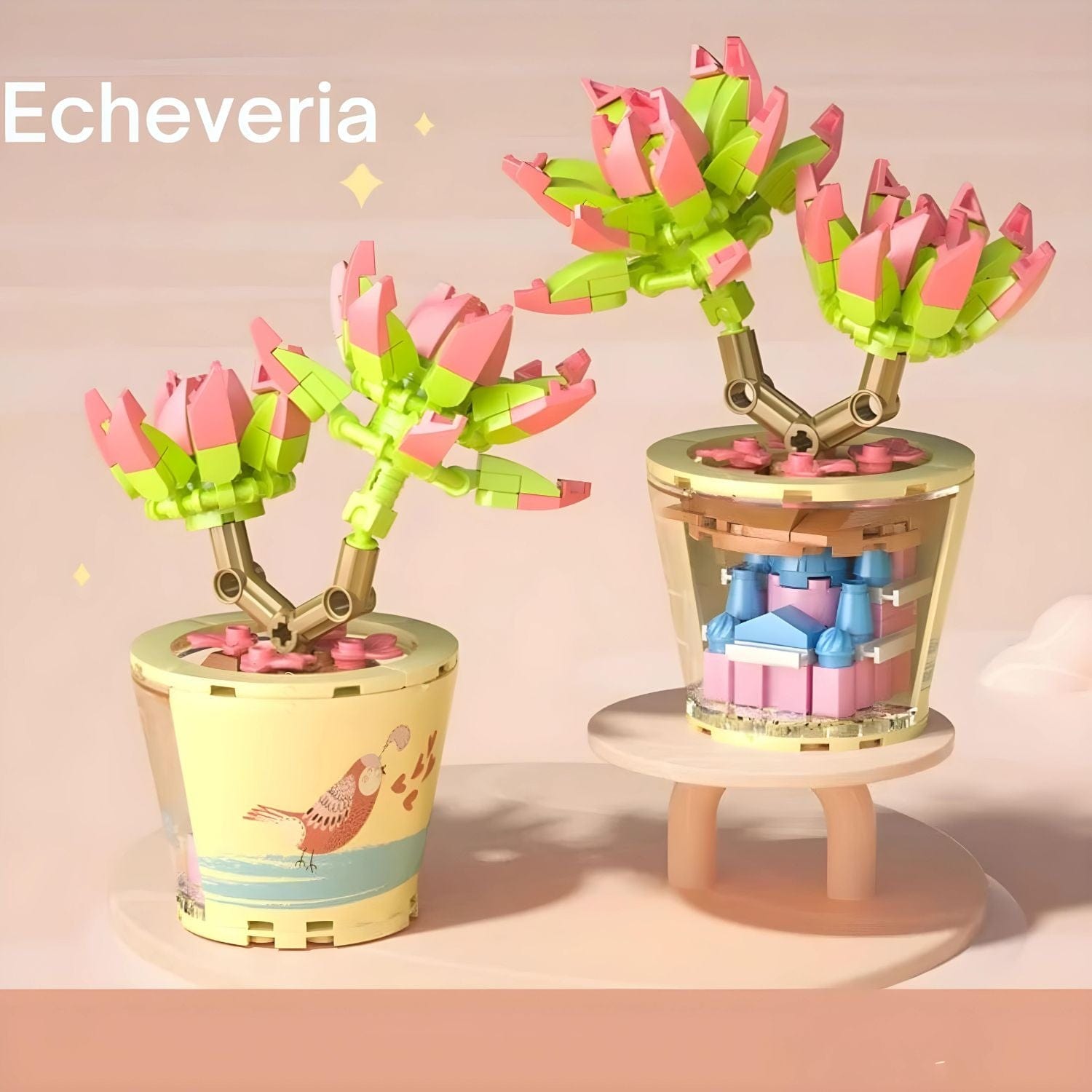 Echeveria 3D Pièces d'Exceptions Nature | Mini Echeveria
