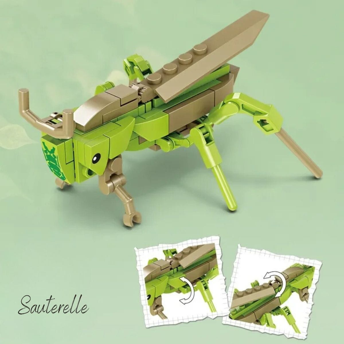 Insecte Puzzle 3 Dimensions Puzzle 3d Enfant | Sauterelle