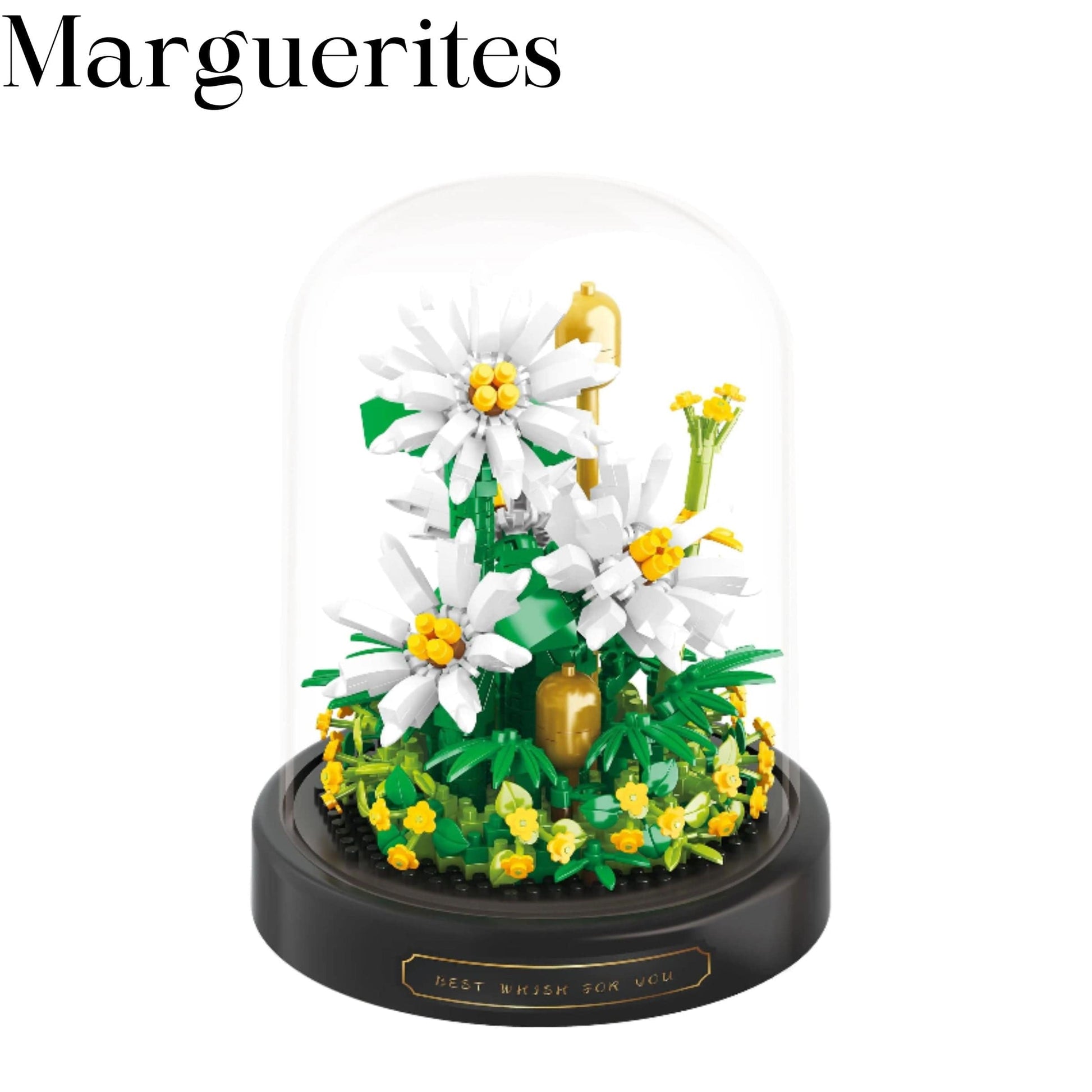 La fleur 3D marguerite Pièces d'Exceptions Nature | Marguerites Scellé