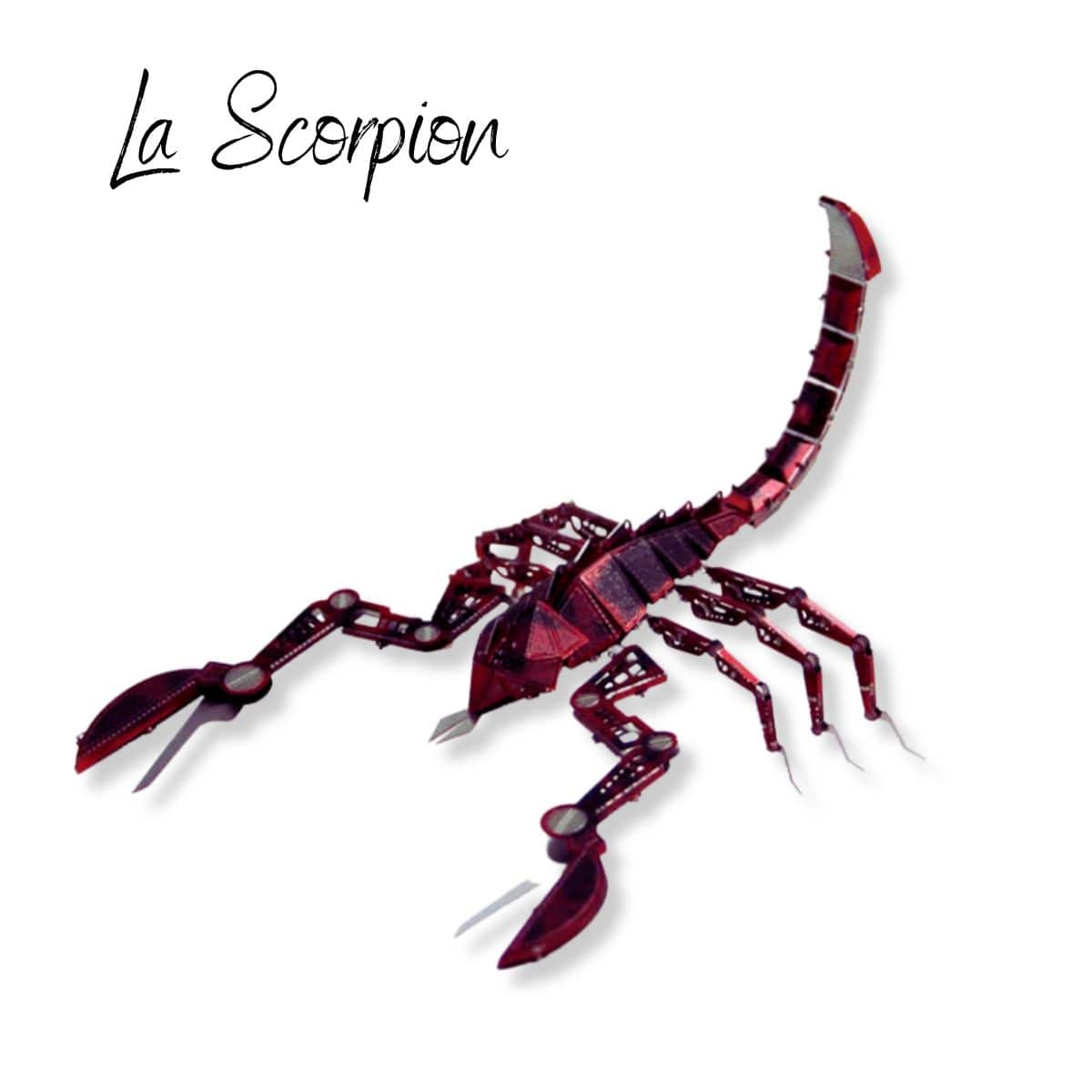 Puzzle 3d Animaux | Le Scorpion