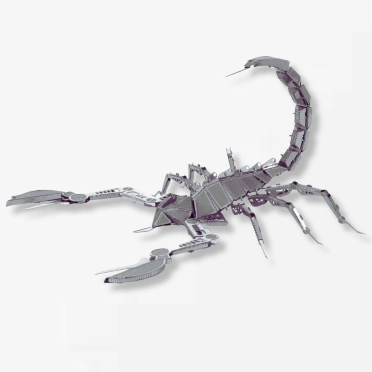 Puzzle 3d Animaux | Scorpion I