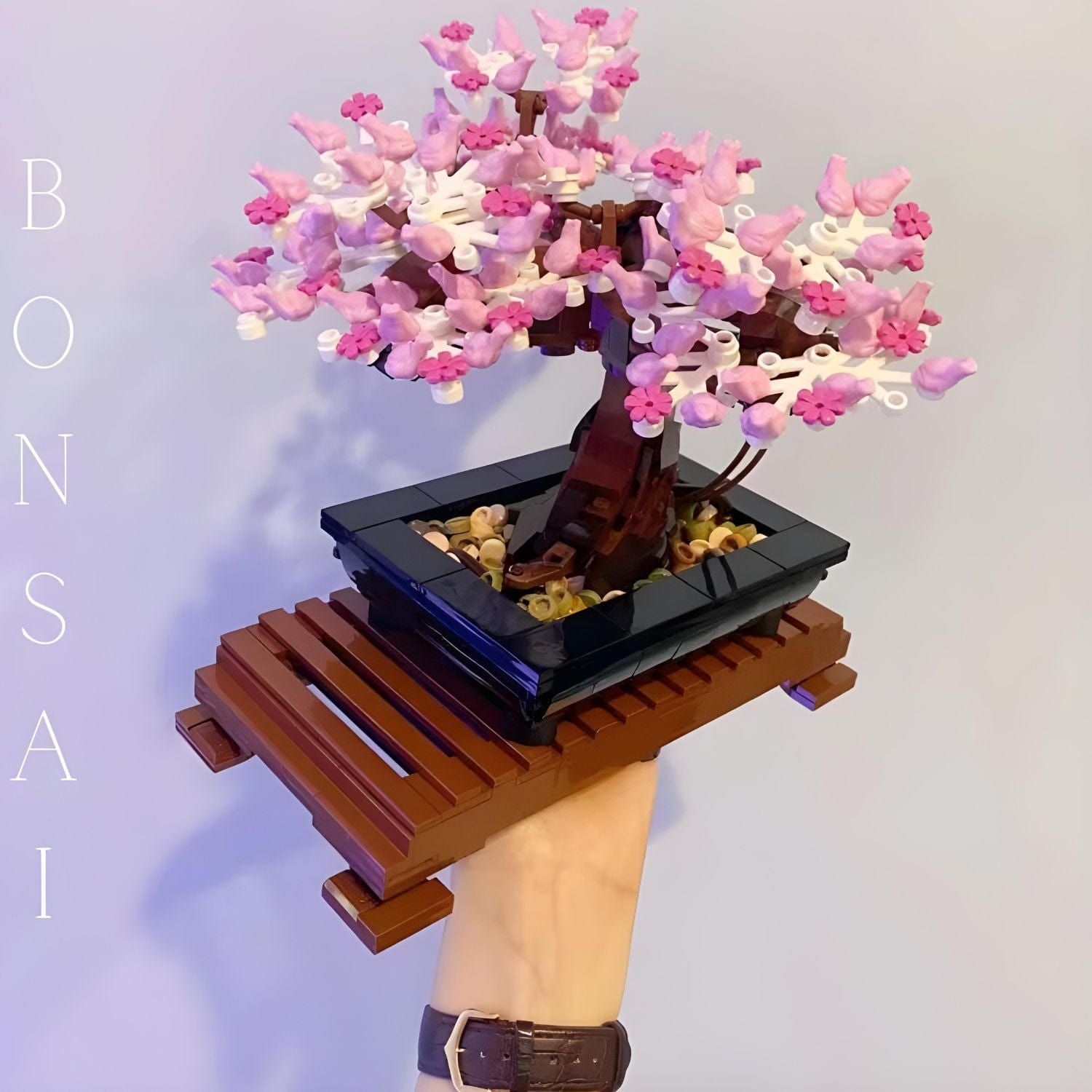 Puzzle 3D bonsai Pièces d'Exceptions Nature | Bonsaï