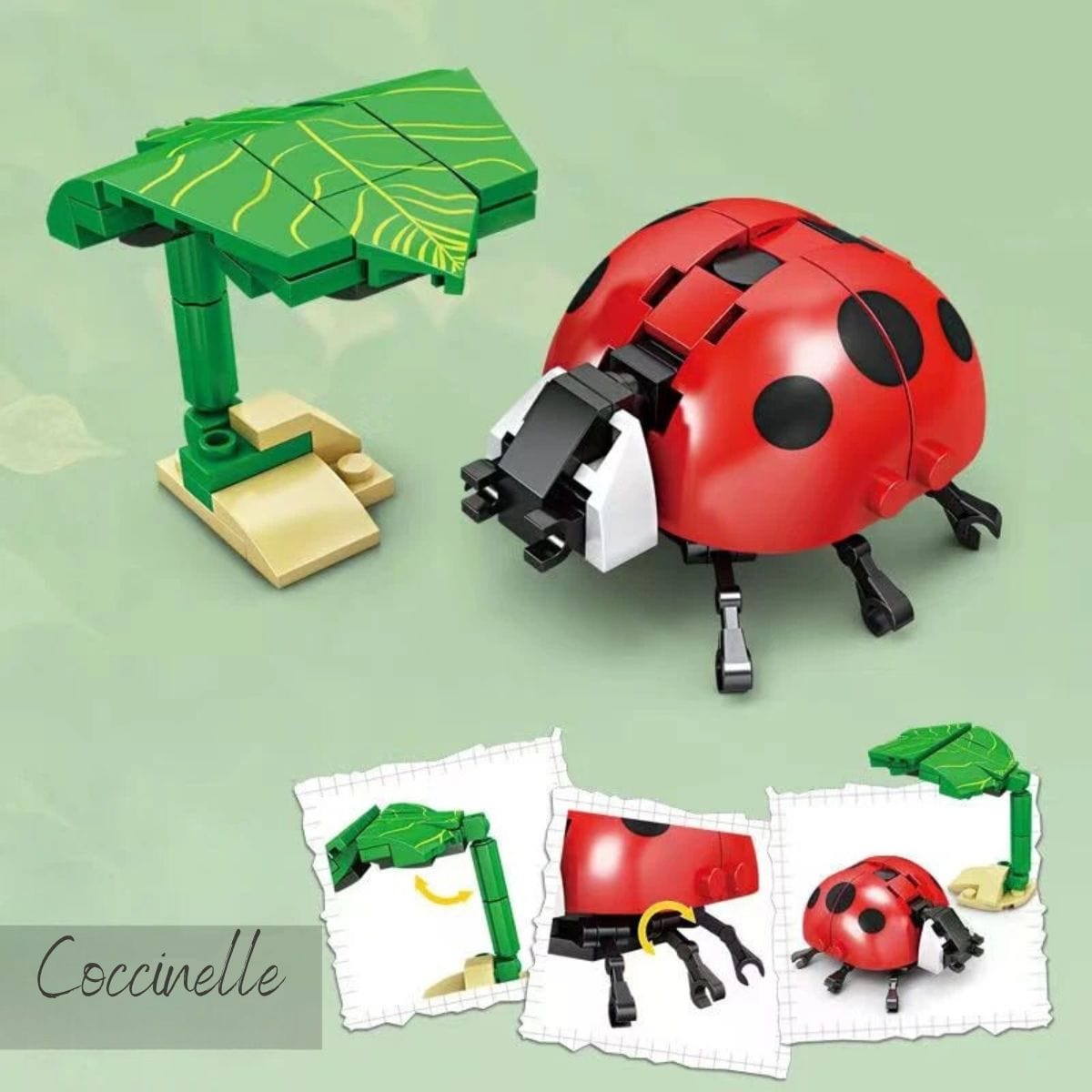 Puzzle 3D Coccinelle  Puzzle 3d Enfant | Coccinelle