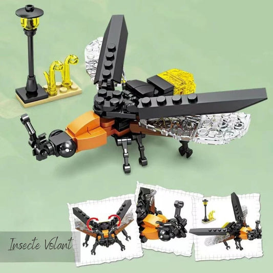 Puzzle 3D Insecte  Puzzle 3d Enfant | Insecte Volant