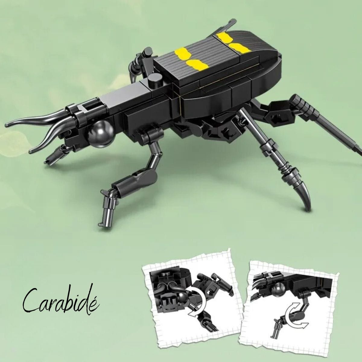 Puzzle 3D Insectes Puzzle 3d Enfant | Carabidé