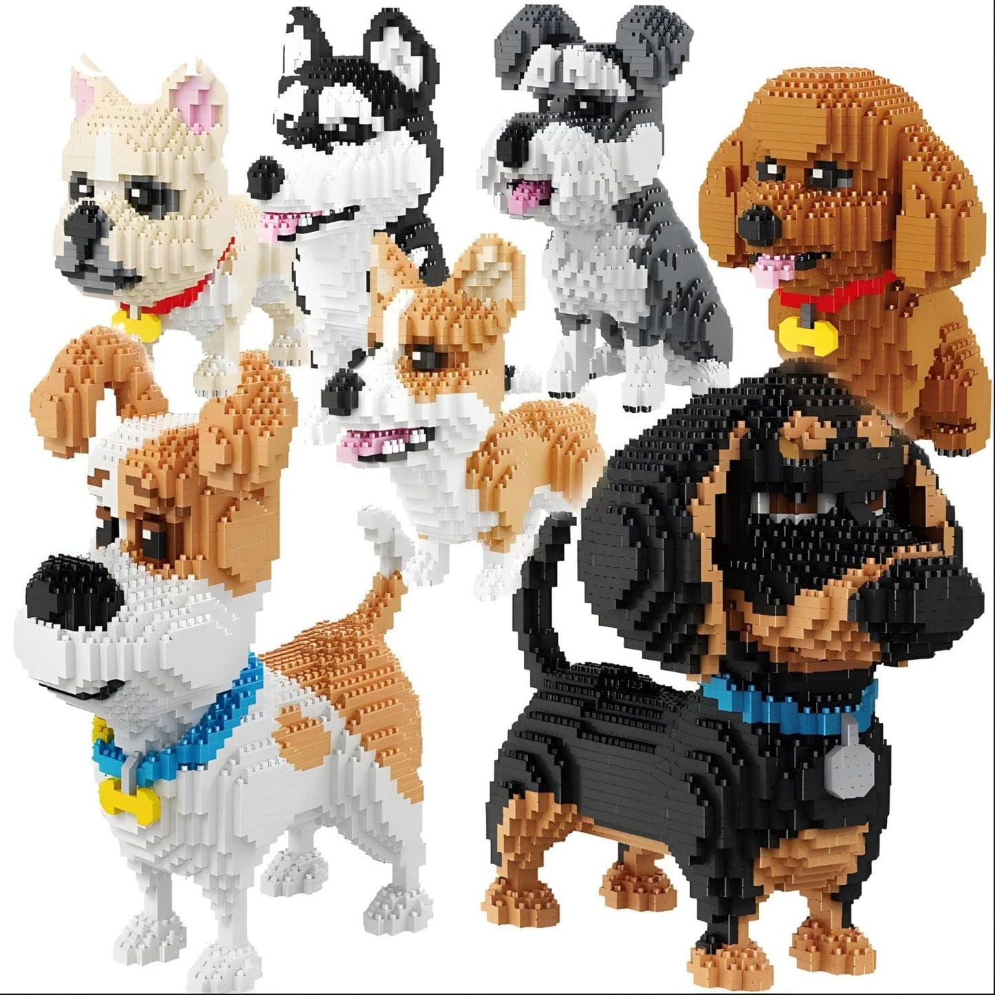 Puzzle chien 3D Pièces d'Exceptions Animaux | Le Schnauzer