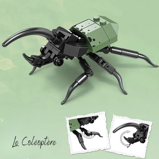 Puzzle Insects  Puzzle 3d Enfant | Coléoptère